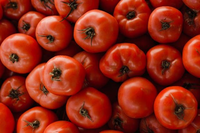 зеленчукова борса - 3163 отстъпки | agrovest.bg зеленчукова борса - 51448 отстъпки